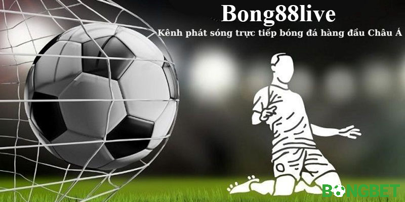 Bong88 hỗ trợ người dùng tính năng xem bóng đá trực tiếp