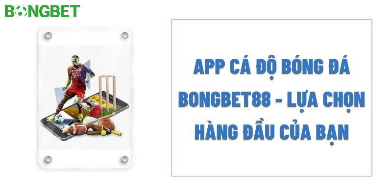 App cá độ bóng đá Bongbet lựa chọn hàng đầu